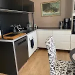公寓 Moderni Ja Avara Loft