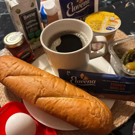 Διαμέρισμα Moderni Ja Avara Loft *