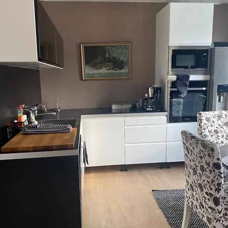 Moderni Ja Avara Loft Appartement *