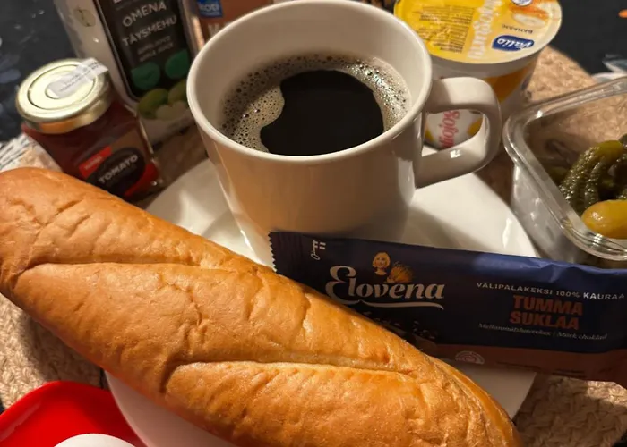 Διαμέρισμα Moderni Ja Avara Loft *